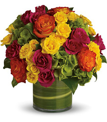 Blossoms In Vogue from Metropolitan Plant & Flower Exchange, local NJ florist